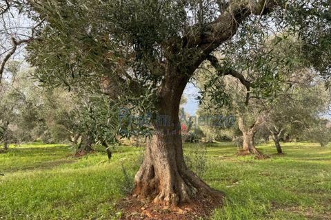 Landejendom i Carovigno, Brindisi, Carovigno - € 54.000 | Ref: 122834 - foto 18